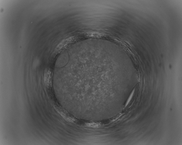 X0000086300511200704091025