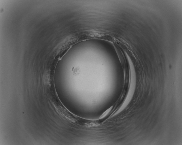 X0000086300512200704091025