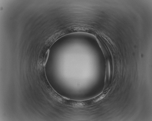 X0000086300513200704091024