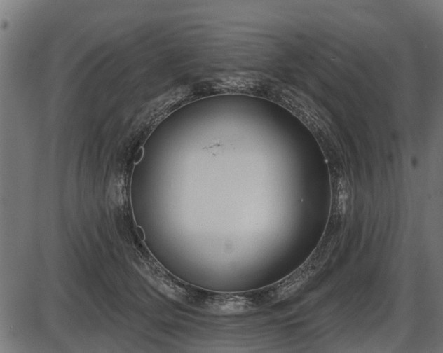 X0000086300514200704091024