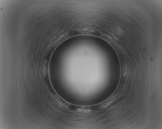 X0000086300515200704091024