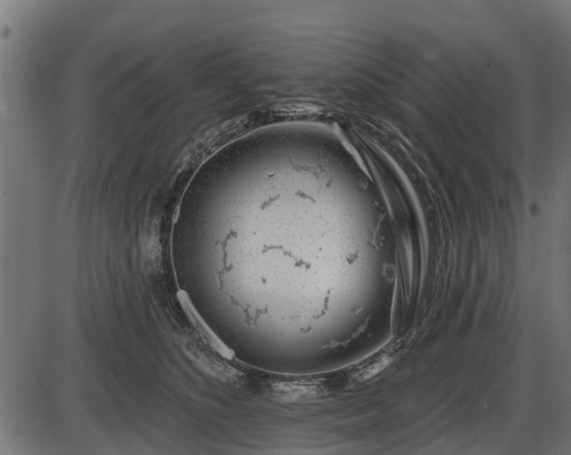 X0000086300516200704091024