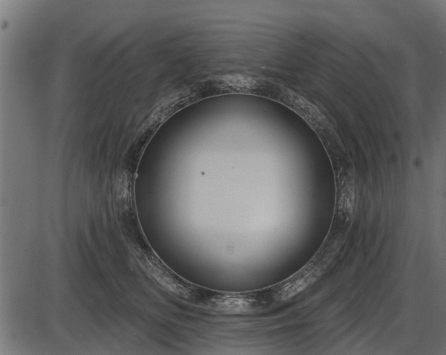 X0000086300518200704091024