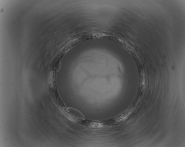 X0000086300519200704091024