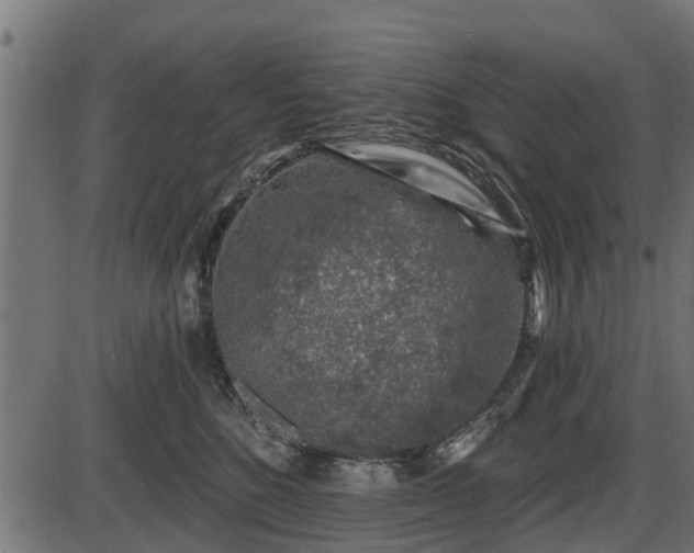 X0000086300520200704091024