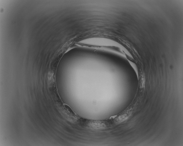 X0000086300521200704091024