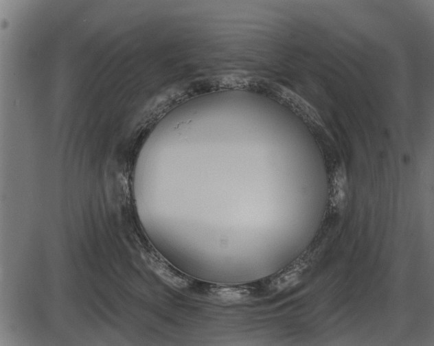 X0000086300522200704091024