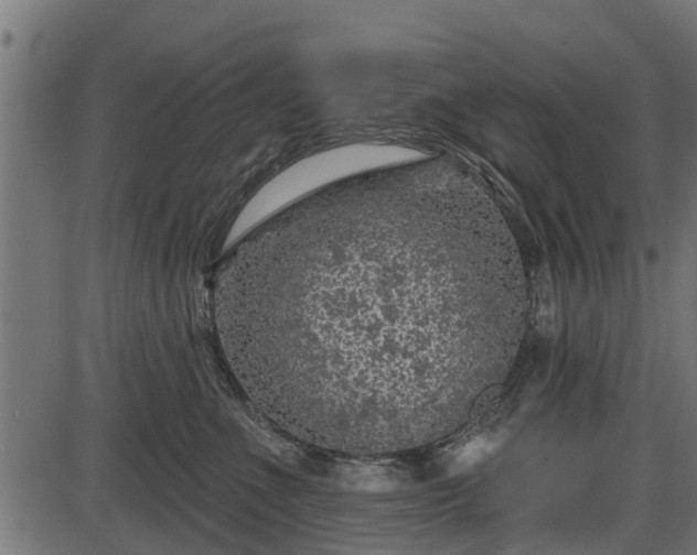 X0000086300523200704091024