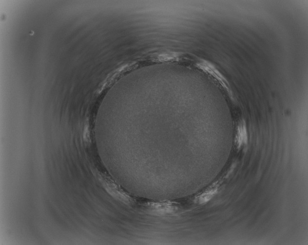 X0000086300524200704091024