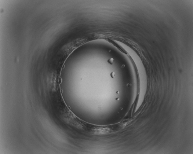 X0000086300525200704091024