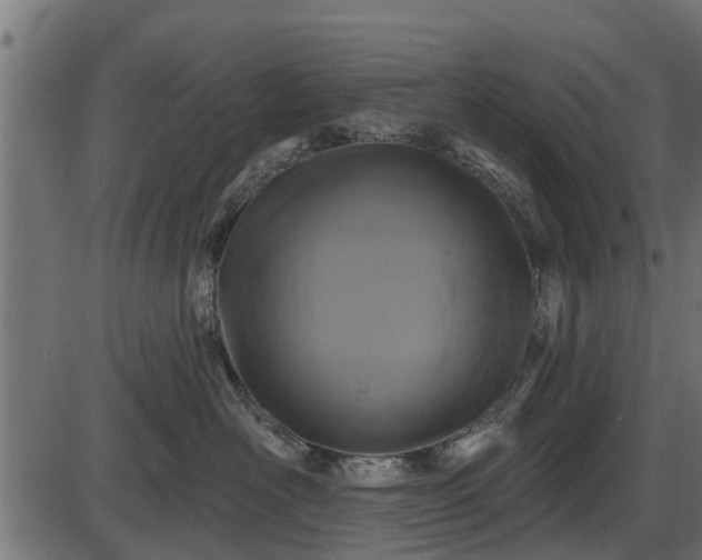 X0000086300526200704091024