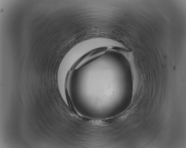 X0000086300528200704091024