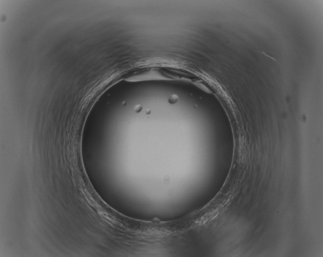 X0000086300529200704091023