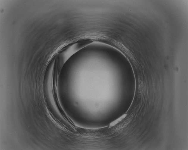 X0000086300530200704091023