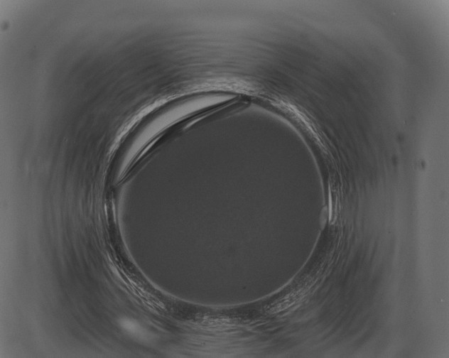 X0000086300531200704091023