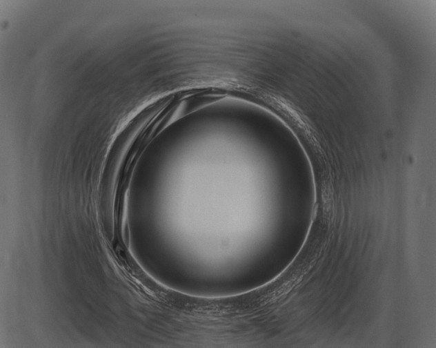 X0000086300532200704091023