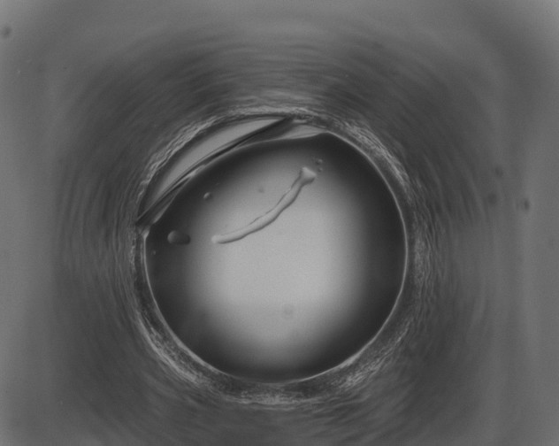 X0000086300533200704091024