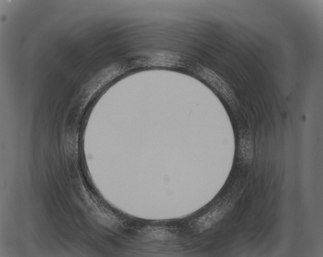 X0000086300534200704091024