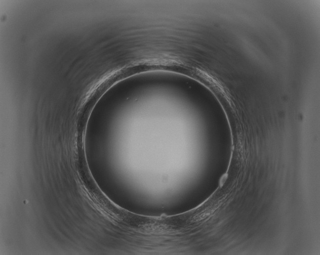 X0000086300535200704091024