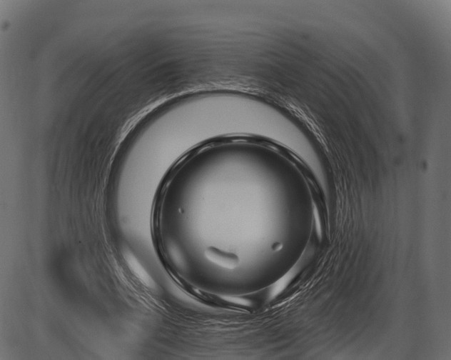 X0000086300536200704091024