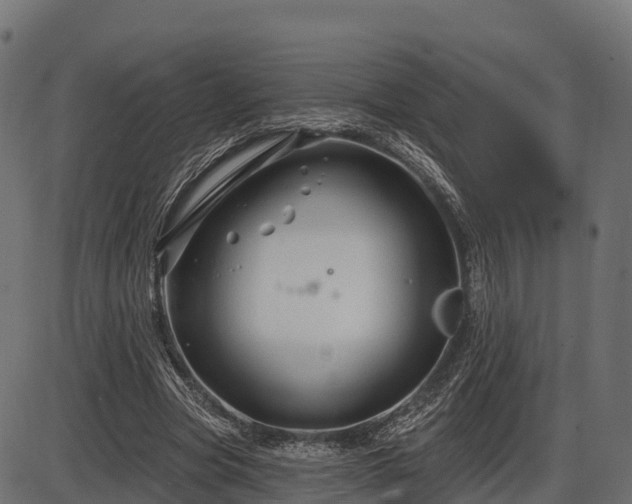 X0000086300537200704091024