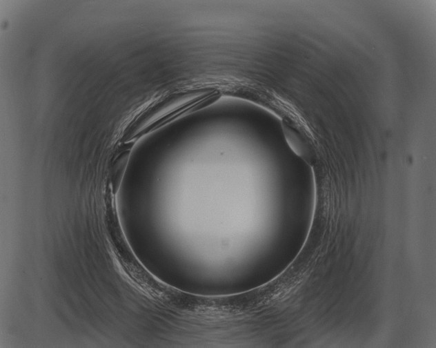 X0000086300538200704091024