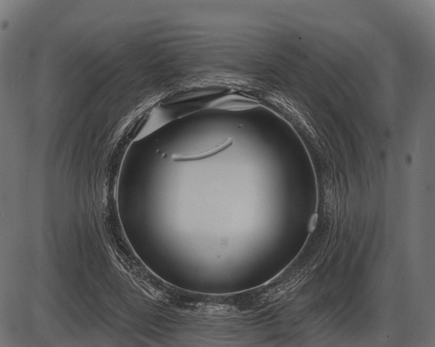 X0000086300539200704091024