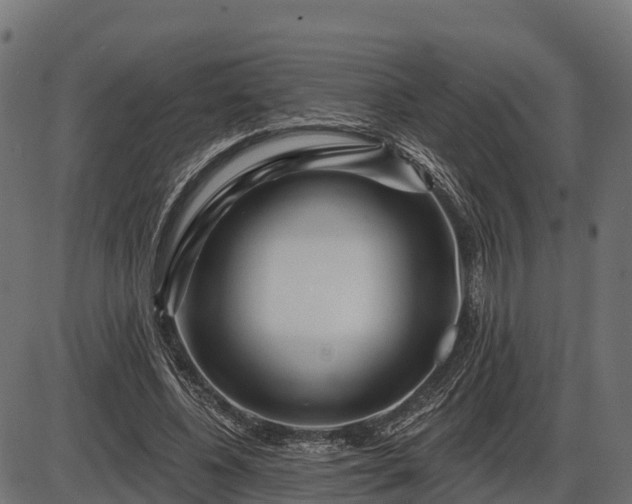 X0000086300540200704091024