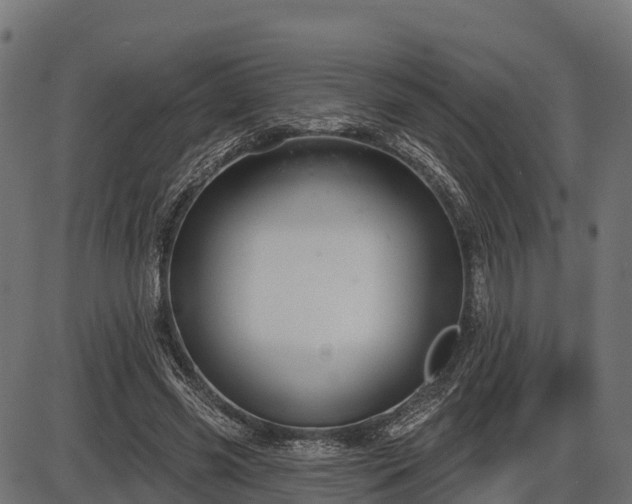 X0000086300541200704091024