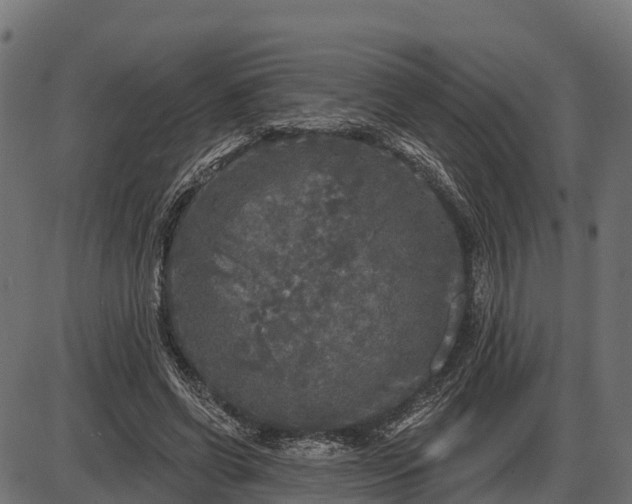 X0000086300542200704091024