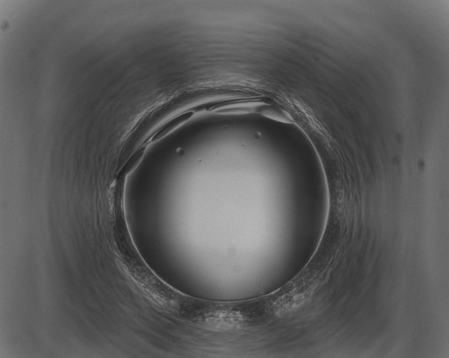 X0000086300543200704091024