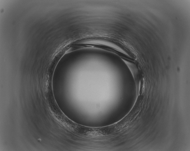 X0000086300544200704091024