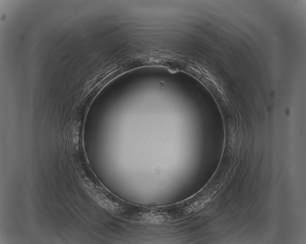 X0000086300545200704091024