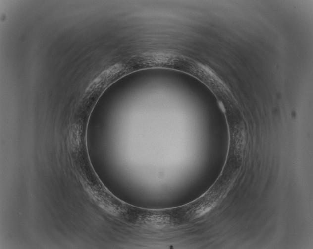 X0000086300546200704091024