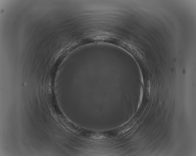 X0000086300547200704091024