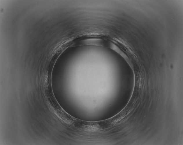 X0000086300548200704091024