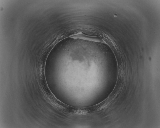 X0000086300549200704091024