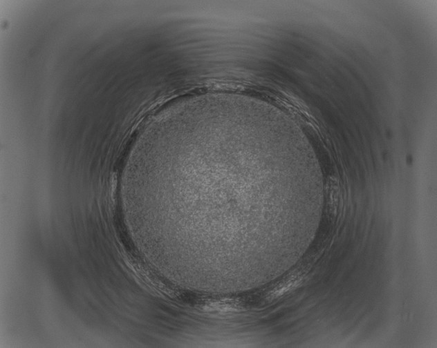 X0000086300550200704091024