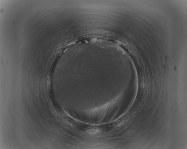 X0000086300551200704091024