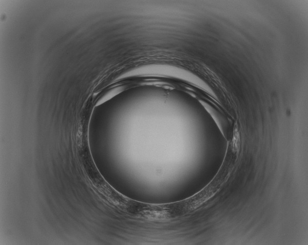 X0000086300552200704091024