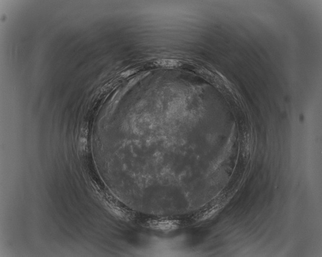 X0000086300553200704091024