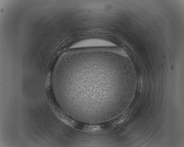 X0000086300554200704091024