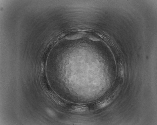 X0000086300555200704091024