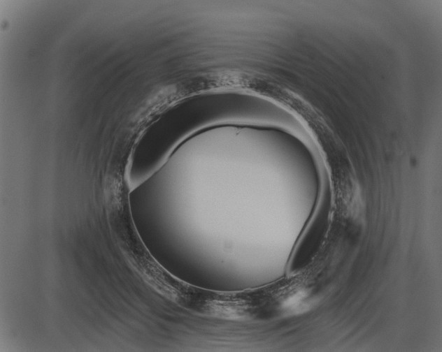 X0000086300556200704091024