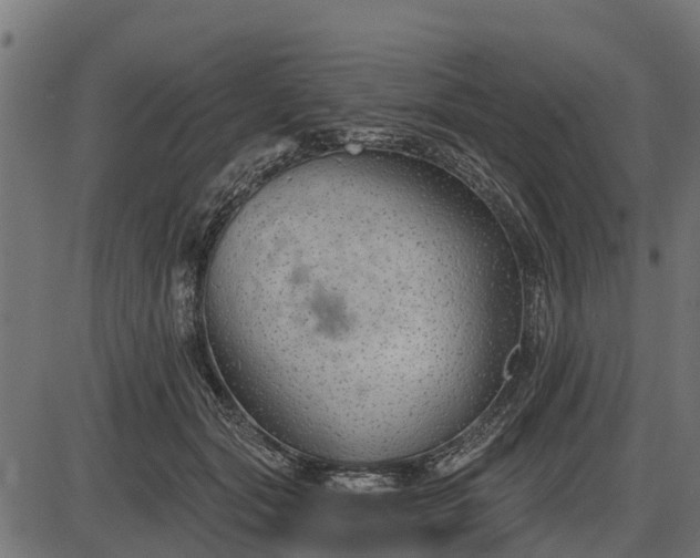 X0000086300557200704091024