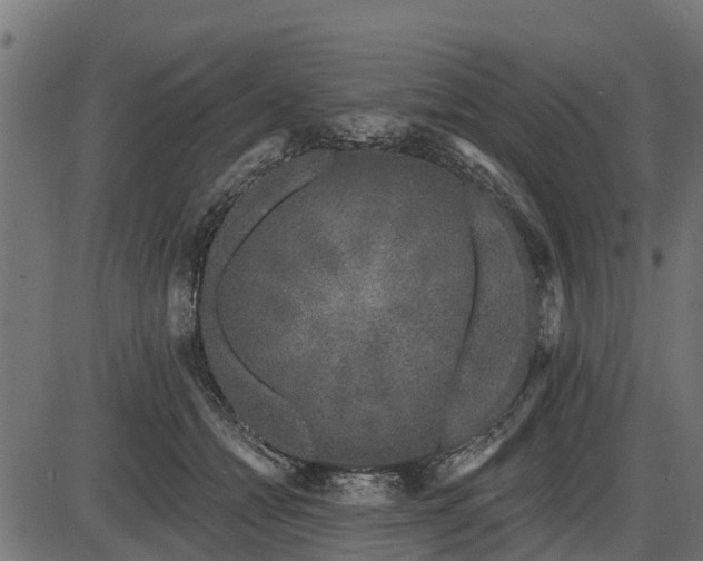 X0000086300558200704091024