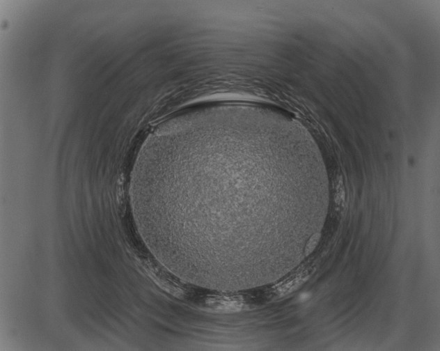 X0000086300559200704091024