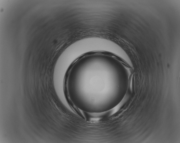 X0000086300560200704091024