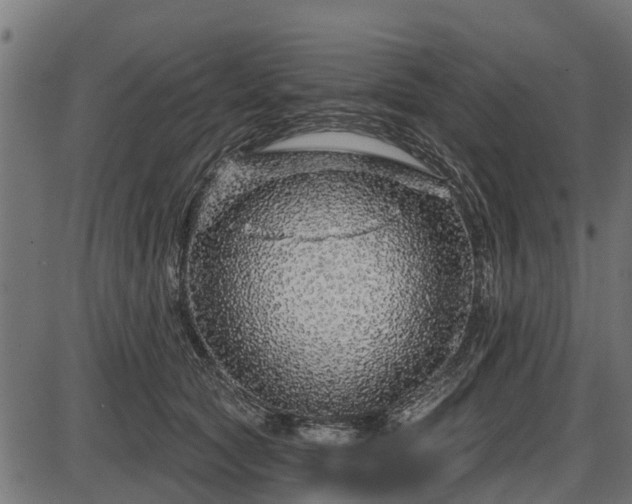 X0000086300561200704091024