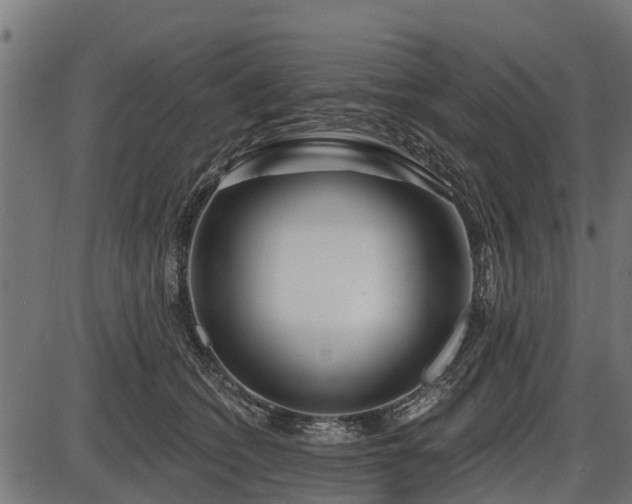 X0000086300562200704091024